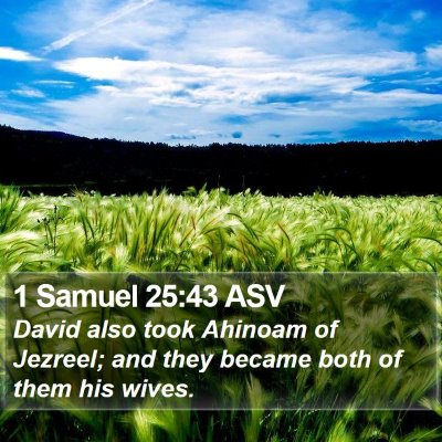1 Samuel 25:43 ASV Bible Verse Image