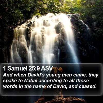 1 Samuel 25:9 ASV Bible Verse Image