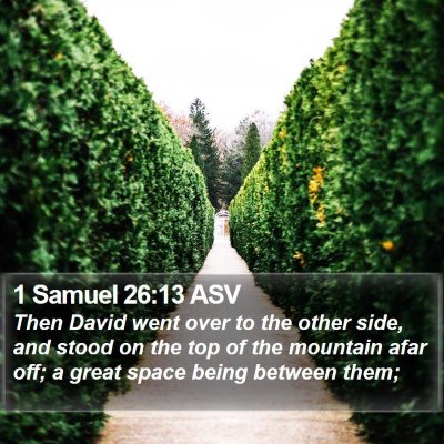 1 Samuel 26:13 ASV Bible Verse Image