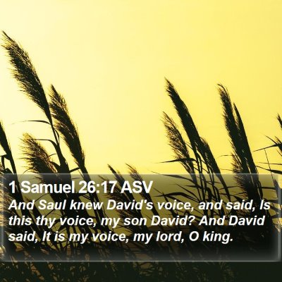 1 Samuel 26:17 ASV Bible Verse Image