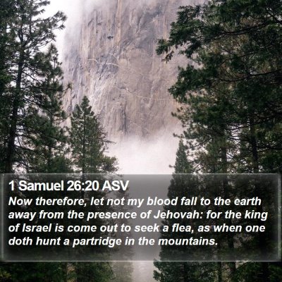 1 Samuel 26:20 ASV Bible Verse Image