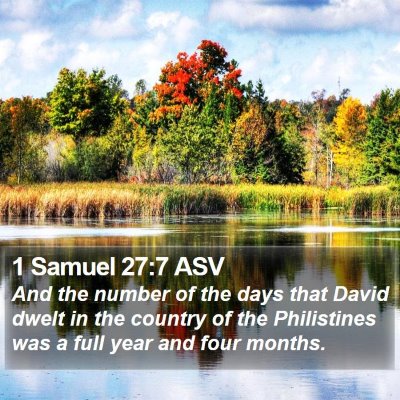 1 Samuel 27:7 ASV Bible Verse Image