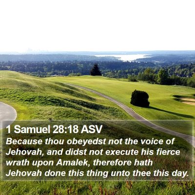 1 Samuel 28:18 ASV Bible Verse Image