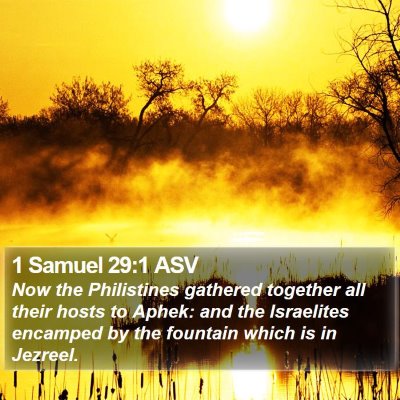 1 Samuel 29:1 ASV Bible Verse Image