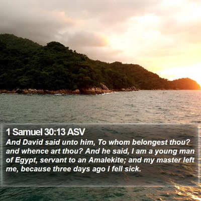 1 Samuel 30:13 ASV Bible Verse Image