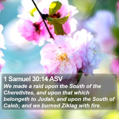 1 Samuel 30:14 ASV Bible Verse Image