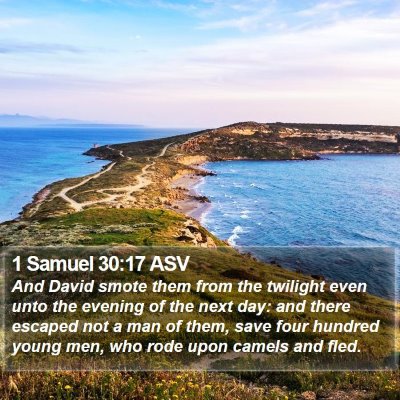 1 Samuel 30:17 ASV Bible Verse Image