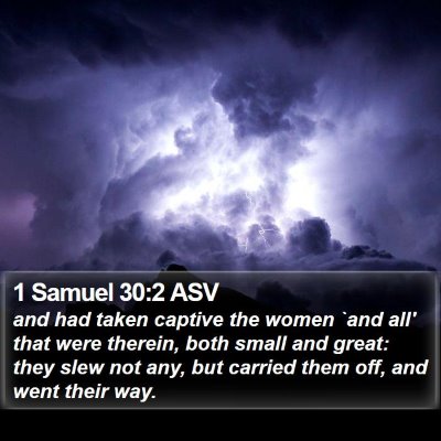 1 Samuel 30:2 ASV Bible Verse Image