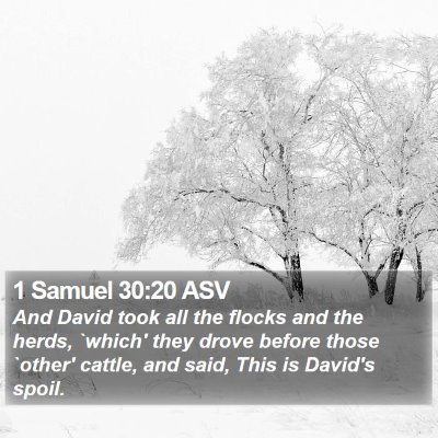 1 Samuel 30:20 ASV Bible Verse Image