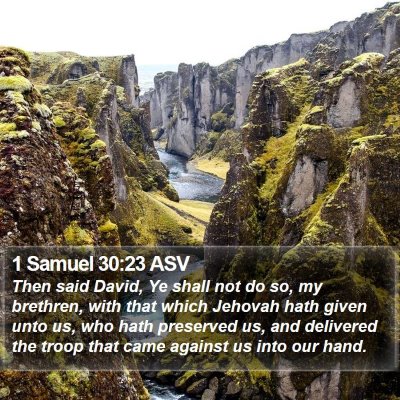1 Samuel 30:23 ASV Bible Verse Image