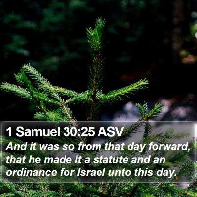 1 Samuel 30:25 ASV Bible Verse Image