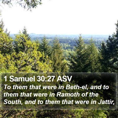 1 Samuel 30:27 ASV Bible Verse Image