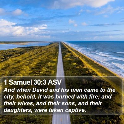1 Samuel 30:3 ASV Bible Verse Image