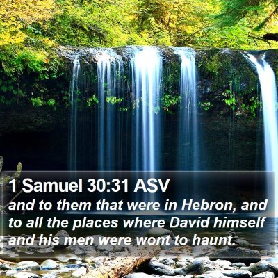 1 Samuel 30:31 ASV Bible Verse Image