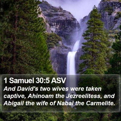 1 Samuel 30:5 ASV Bible Verse Image