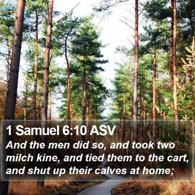 1 Samuel 6:10 ASV Bible Verse Image
