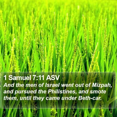 1 Samuel 7:11 ASV Bible Verse Image