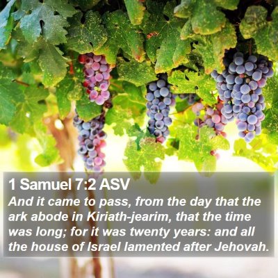 1 Samuel 7:2 ASV Bible Verse Image