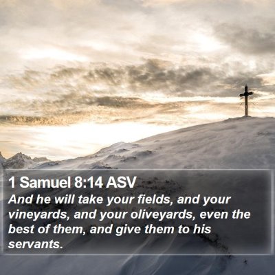1 Samuel 8:14 ASV Bible Verse Image