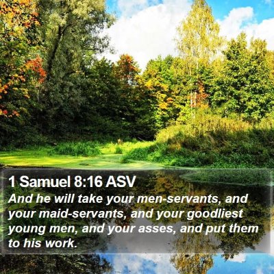 1 Samuel 8:16 ASV Bible Verse Image