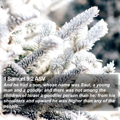 1 Samuel 9:2 ASV Bible Verse Image