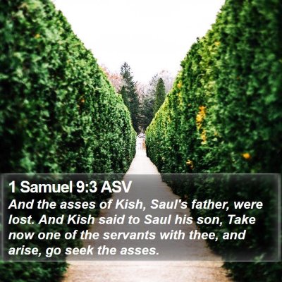1 Samuel 9:3 ASV Bible Verse Image