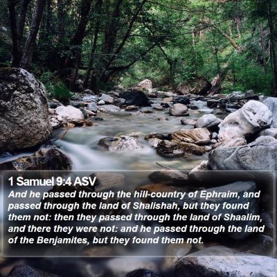 1 Samuel 9:4 ASV Bible Verse Image