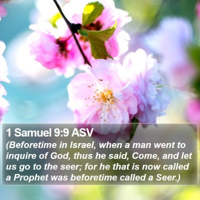 1 Samuel 9:9 ASV Bible Verse Image
