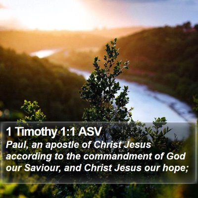 1 Timothy 1:1 ASV Bible Verse Image