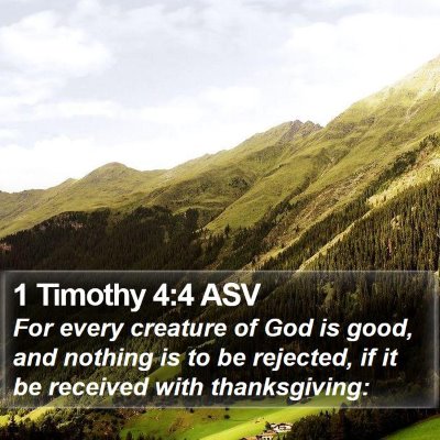 1 Timothy 4:4 ASV Bible Verse Image