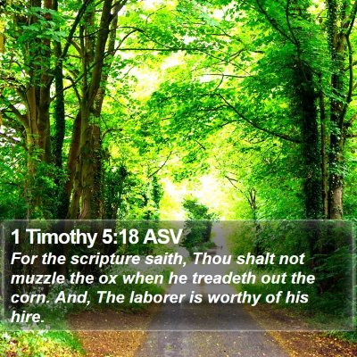 1 Timothy 5:18 ASV Bible Verse Image