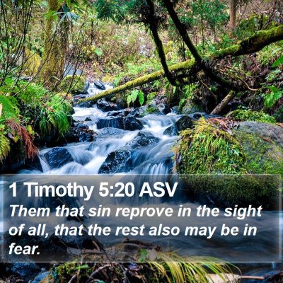 1 Timothy 5:20 ASV Bible Verse Image