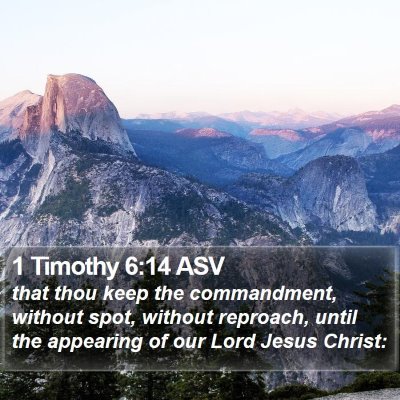 1 Timothy 6:14 ASV Bible Verse Image