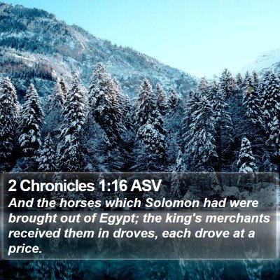 2 Chronicles 1:16 ASV Bible Verse Image