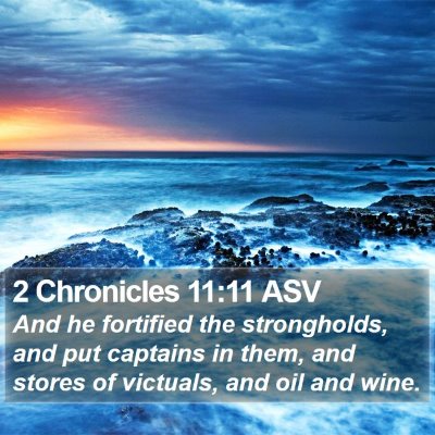 2 Chronicles 11:11 ASV Bible Verse Image