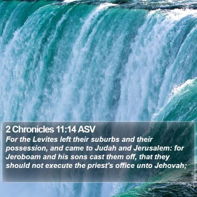 2 Chronicles 11:14 ASV Bible Verse Image