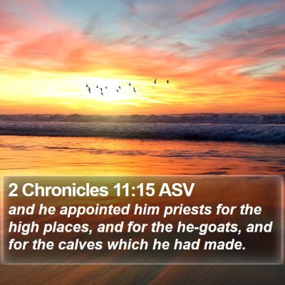 2 Chronicles 11:15 ASV Bible Verse Image