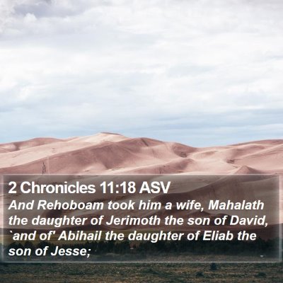 2 Chronicles 11:18 ASV Bible Verse Image