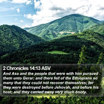 2 Chronicles 14:13 ASV Bible Verse Image
