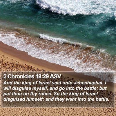 2 Chronicles 18:29 ASV Bible Verse Image