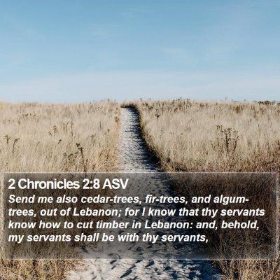 2 Chronicles 2:8 ASV Bible Verse Image