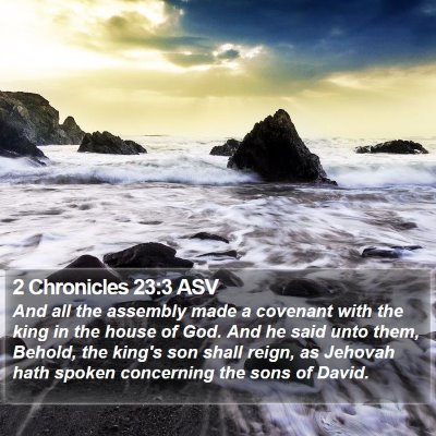 2 Chronicles 23:3 ASV Bible Verse Image