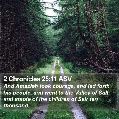 2 Chronicles 25:11 ASV Bible Verse Image