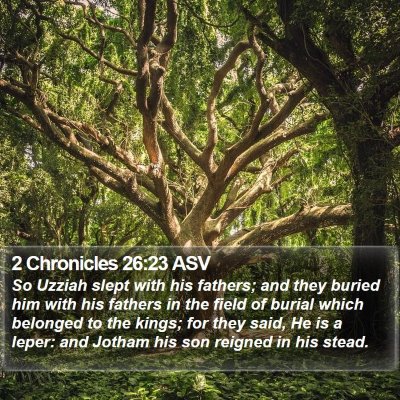 2 Chronicles 26:23 ASV Bible Verse Image
