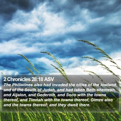 2 Chronicles 28:18 ASV Bible Verse Image