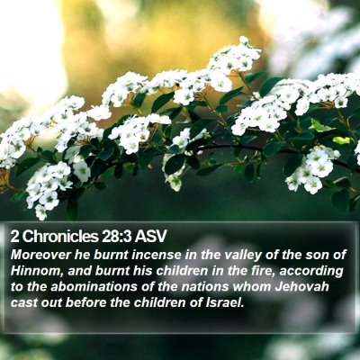 2 Chronicles 28:3 ASV Bible Verse Image