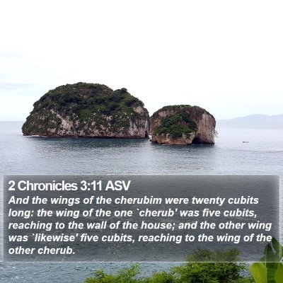 2 Chronicles 3:11 ASV Bible Verse Image