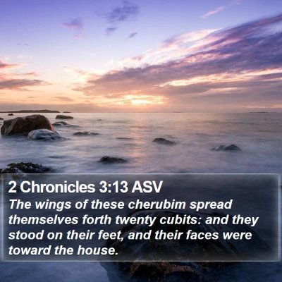 2 Chronicles 3:13 ASV Bible Verse Image