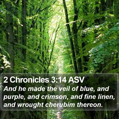 2 Chronicles 3:14 ASV Bible Verse Image