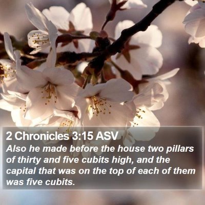 2 Chronicles 3:15 ASV Bible Verse Image